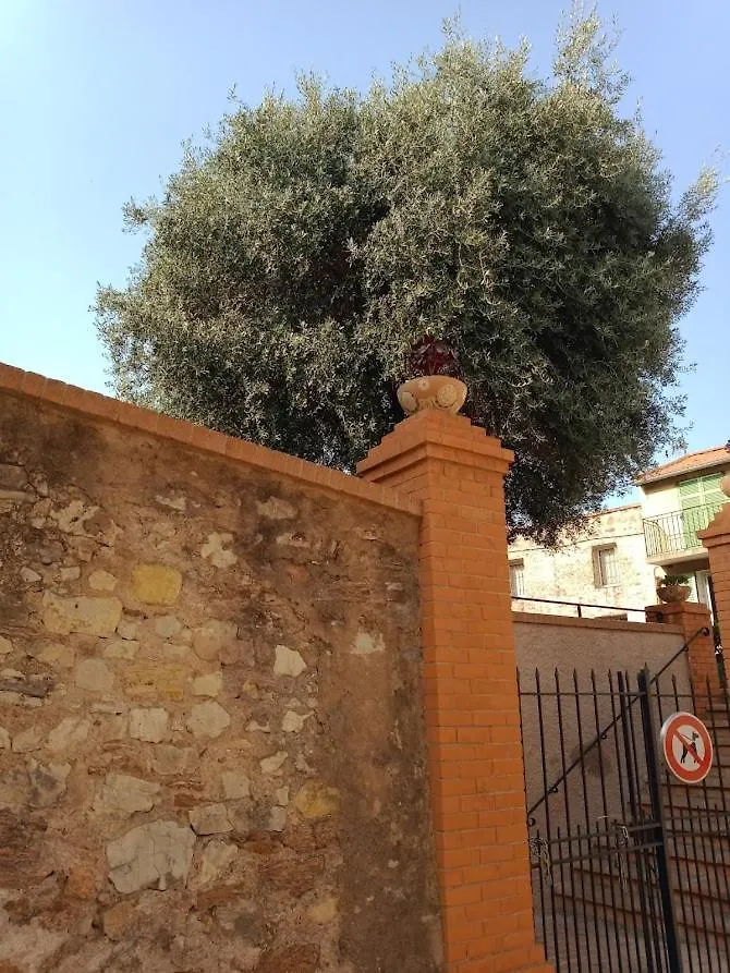 Cadre De Reve Mais Vous Faites Le Menage- Very Good Prices But You Have To Clea-N Th-E Flat Cannes Apartment