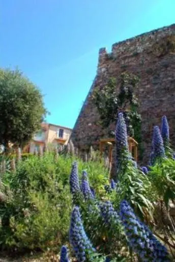 Apartment Cadre De Reve Mais Vous Faites Le Menage- Very Good Prices But You Have To Clea-N Th-E Flat Cannes